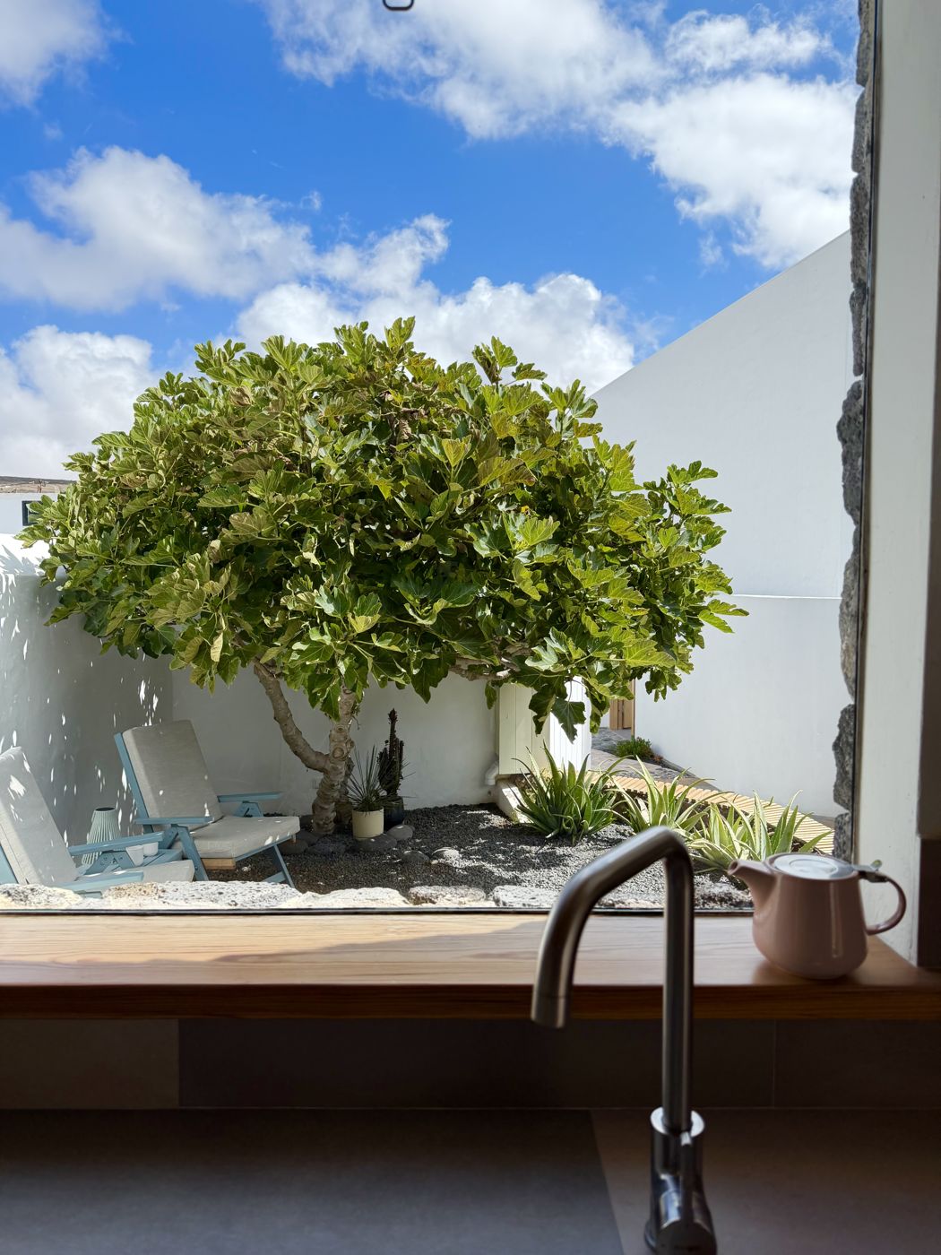 The fig-tree courtyard, seen from the kitchen window